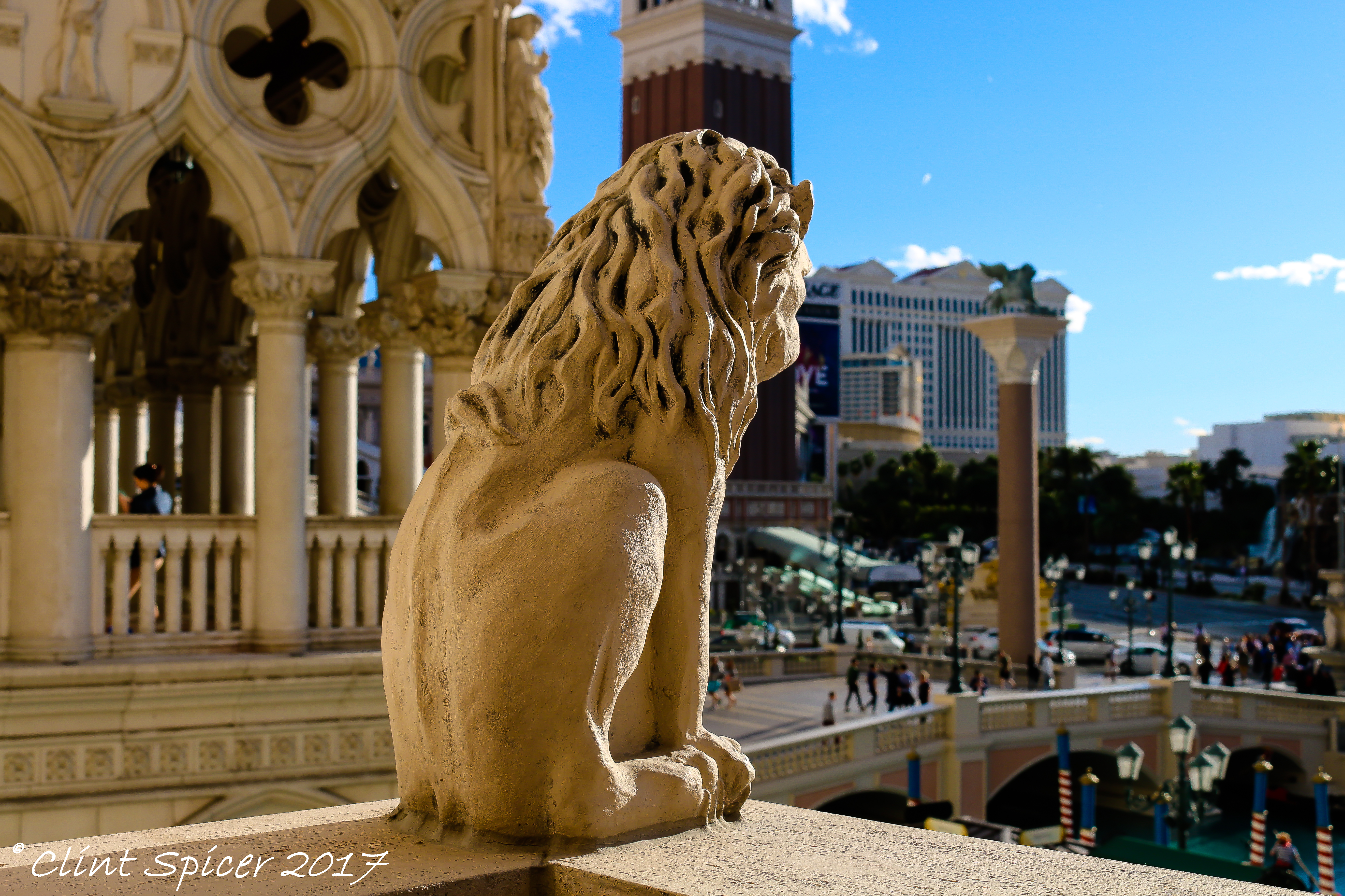 Las Vegas Lion (1 of 1).jpg