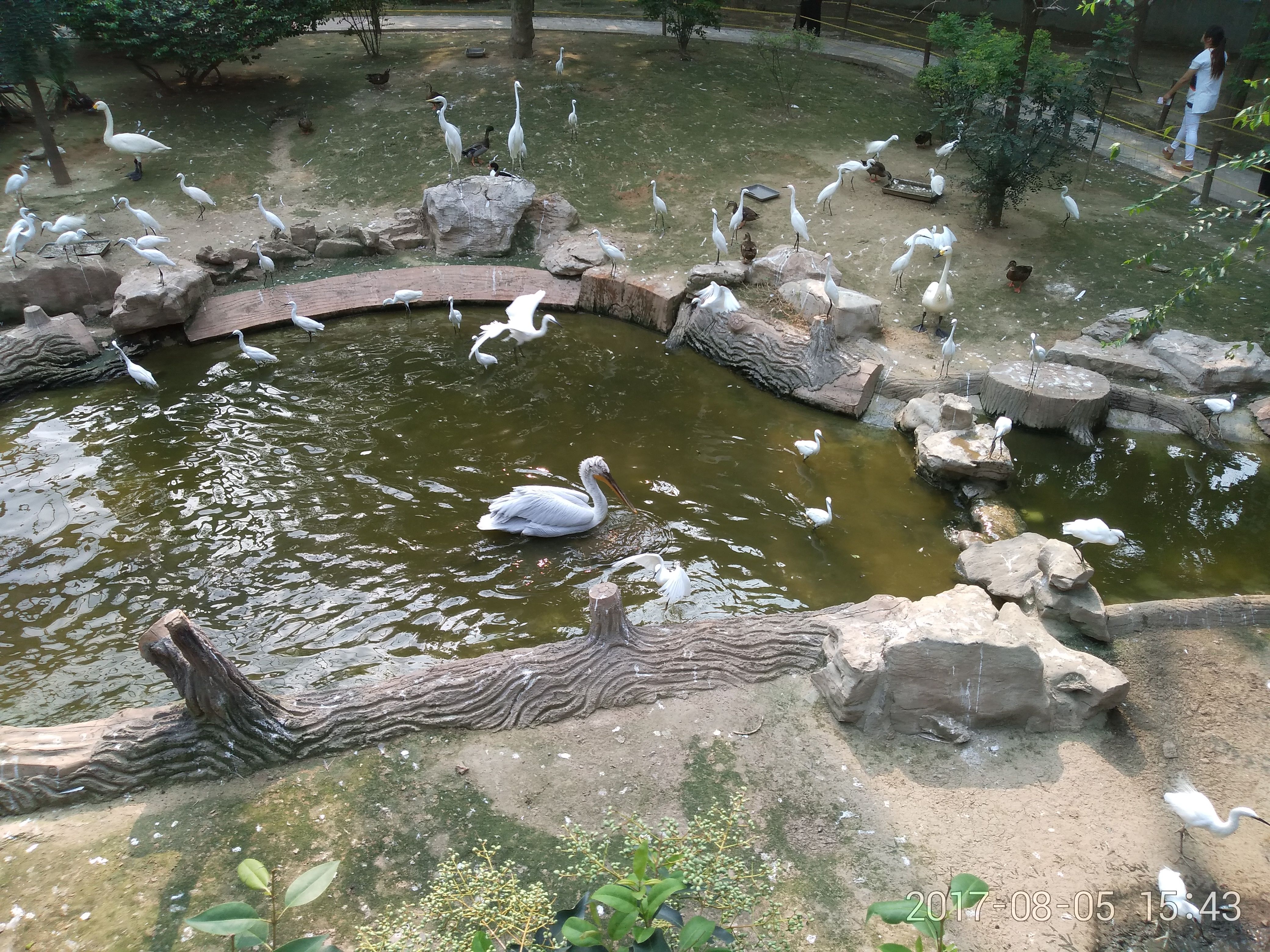IMG_20170805_154318.jpg