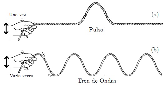 Pulso de ondas fisica