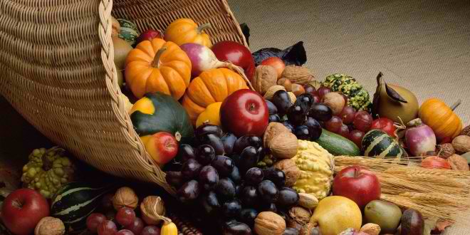 Bountiful-Harvest-660x330.jpg