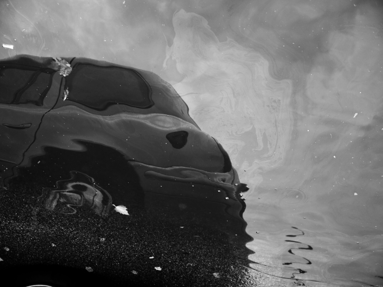 oil_slick_puddle_taxi_reflection bw.jpg