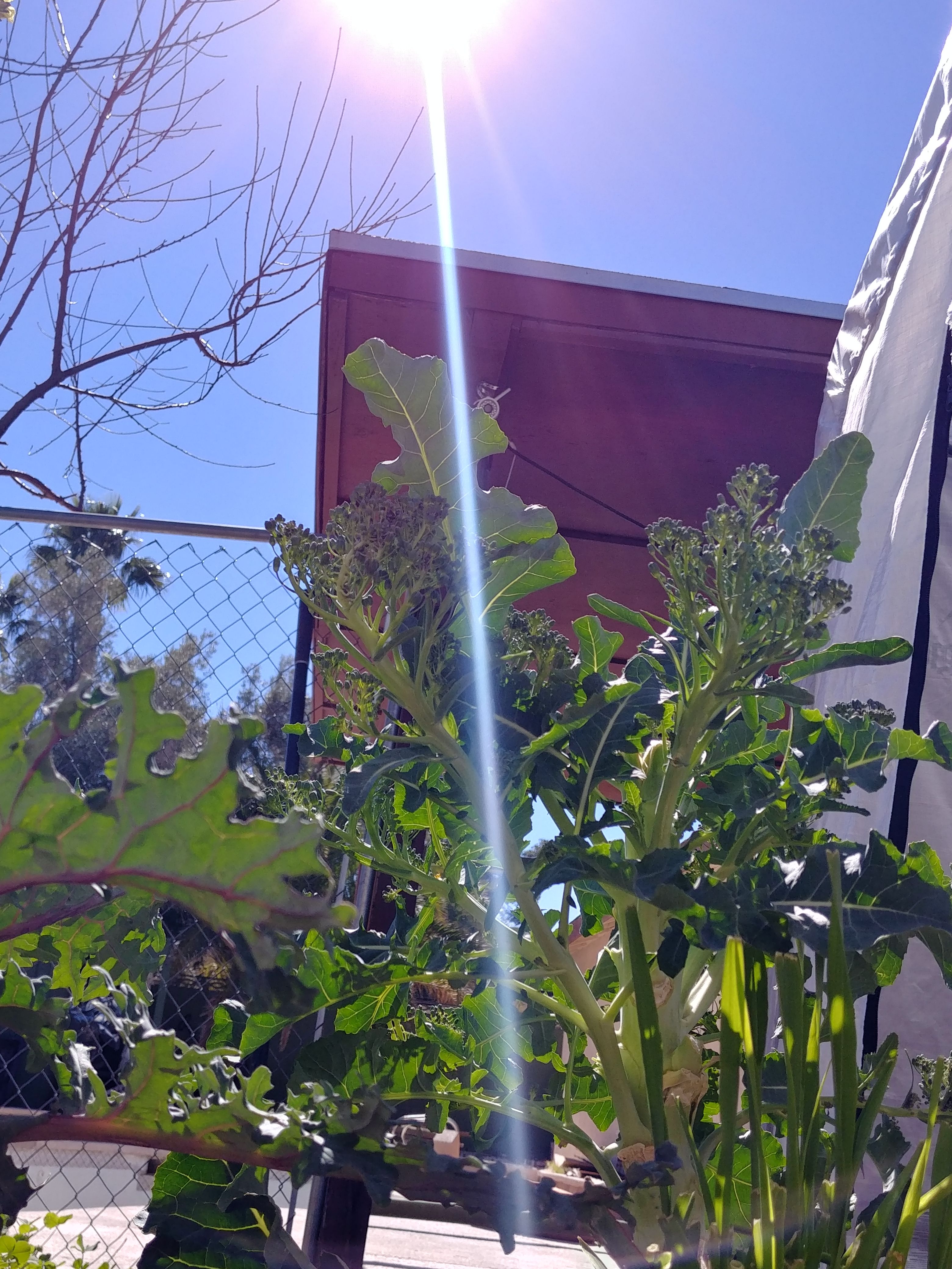 20180225_114447_HDR.jpg