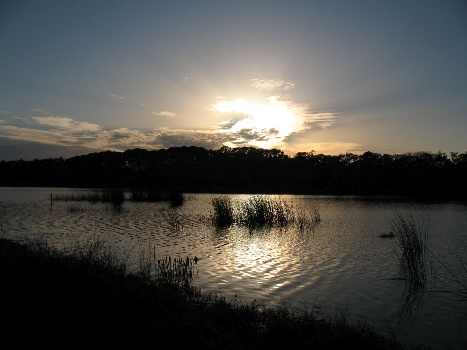 20100303 Sunset over Taylor Park 056.jpg