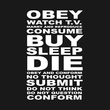 D05B075D-F1F2-4CBB-BF35-A4645D8F1445.jpeg