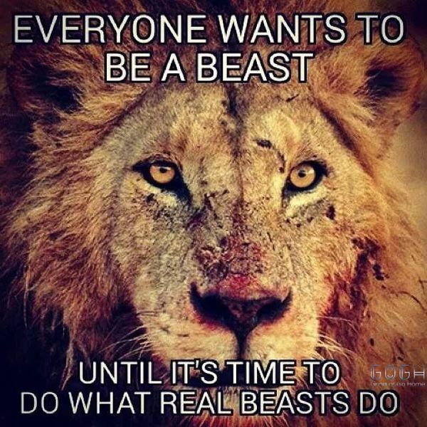 5-Everyone-Wants-To-Be-A-Beast-Motivation-Meme.jpg