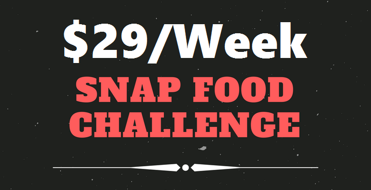 SNAP Challenge Header1.png
