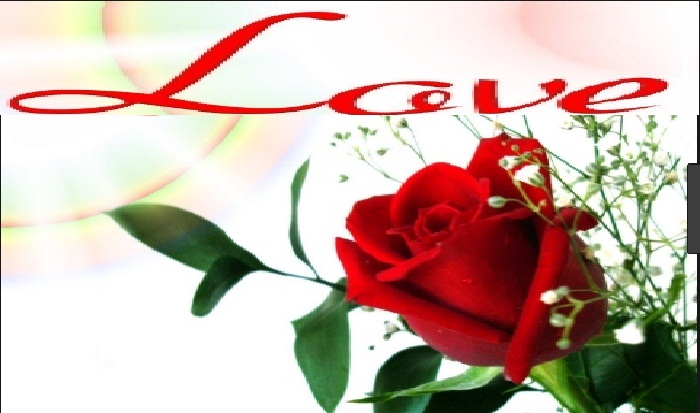 Love Red Rose Flower Wallpaper | Love wallpapers | love heart hd images for mobile  wallpaper | collection of beautiful wallpapers with love roses and orchids  decorated with hearts. — Steemit