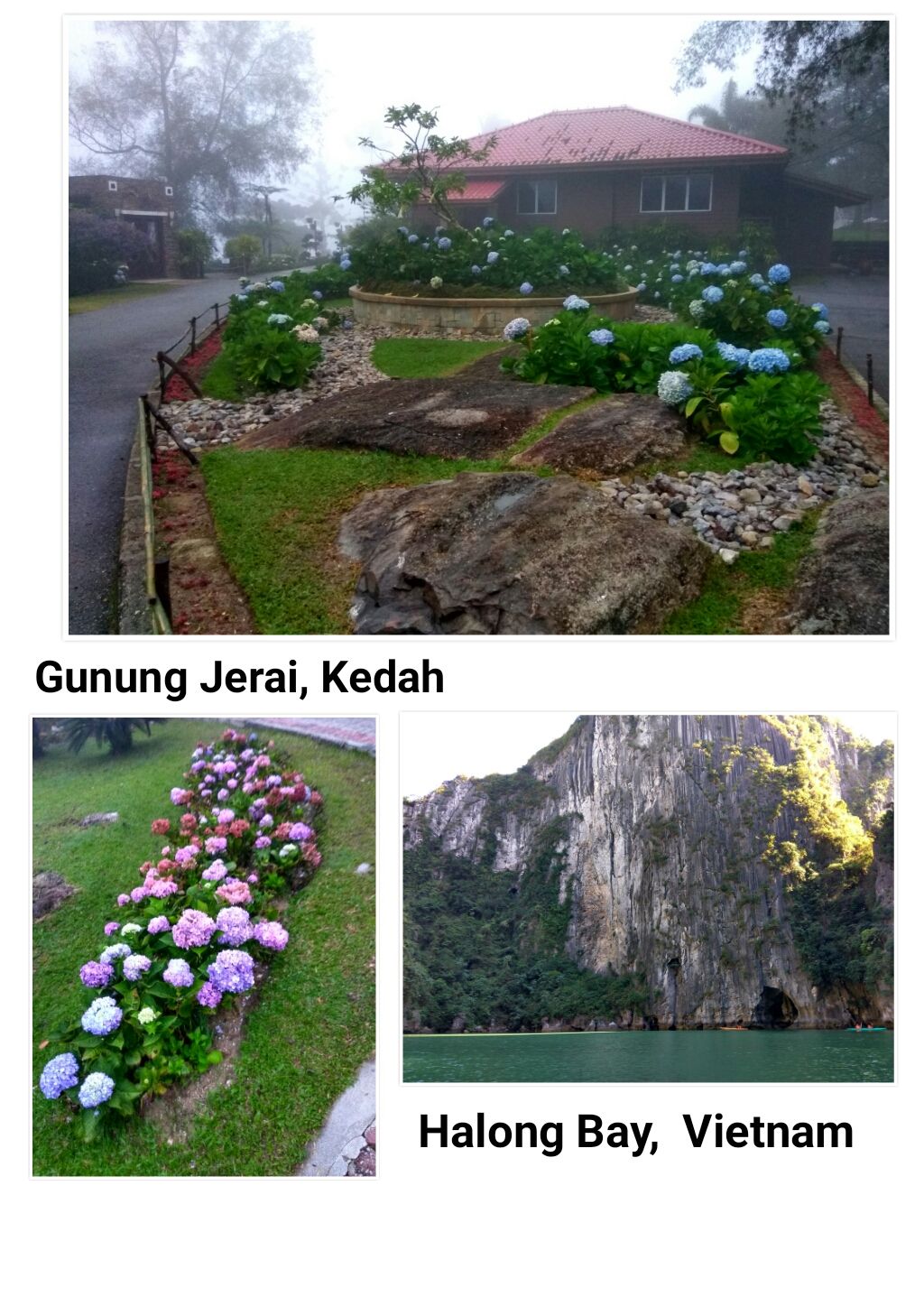 PhotoGrid_1506577746081.jpg
