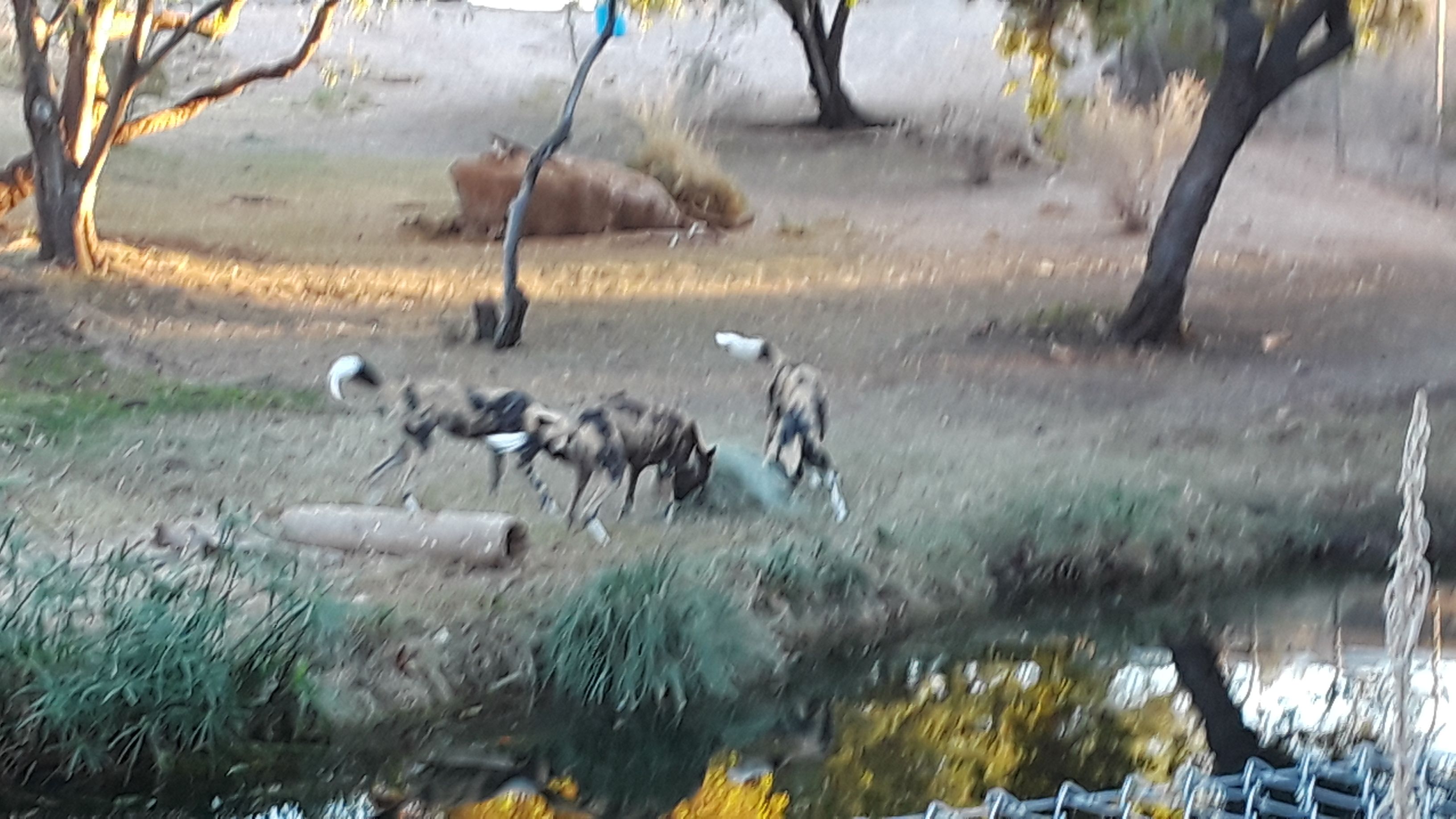 20171213_165048.jpg