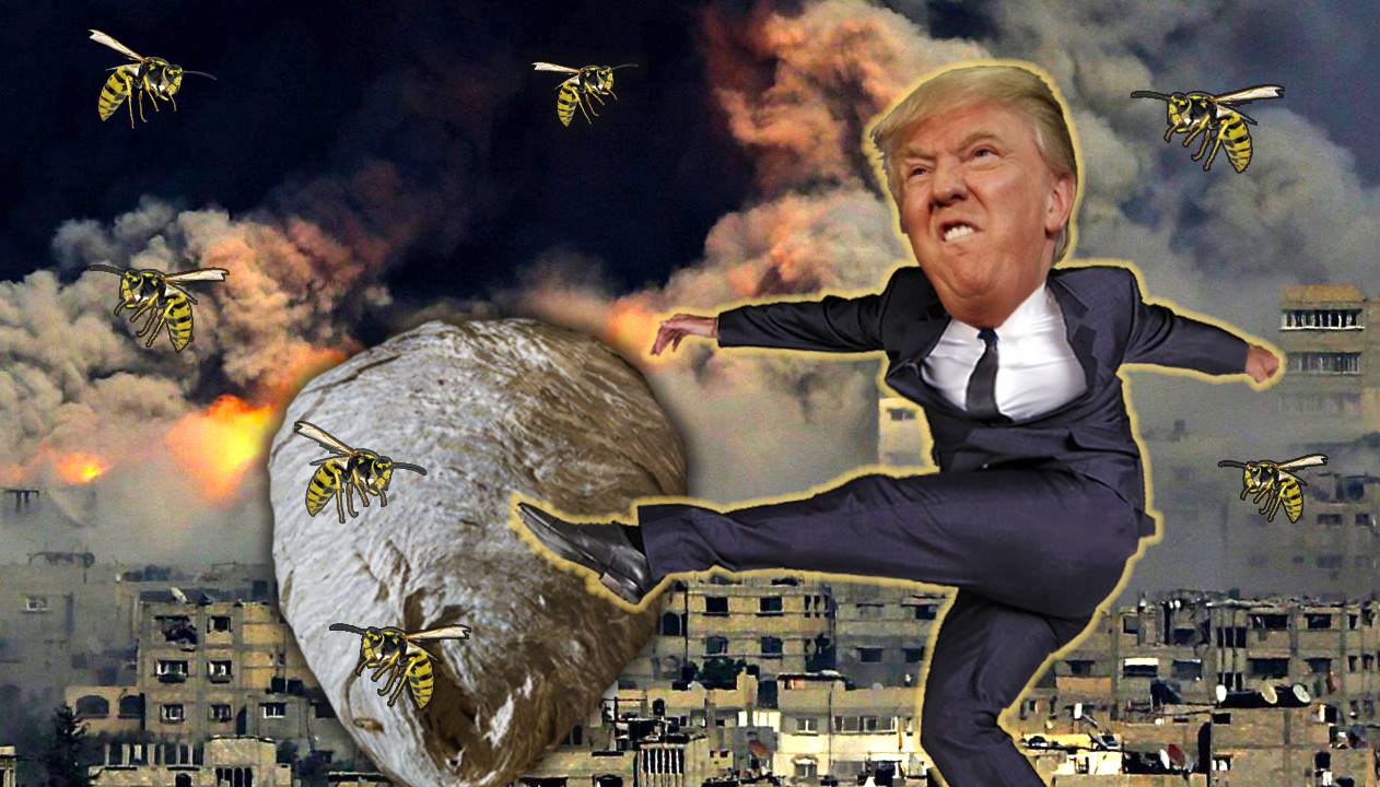 Image result for Trump kicks a hornets nest