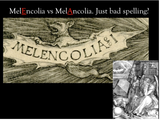 meln sp.PNG