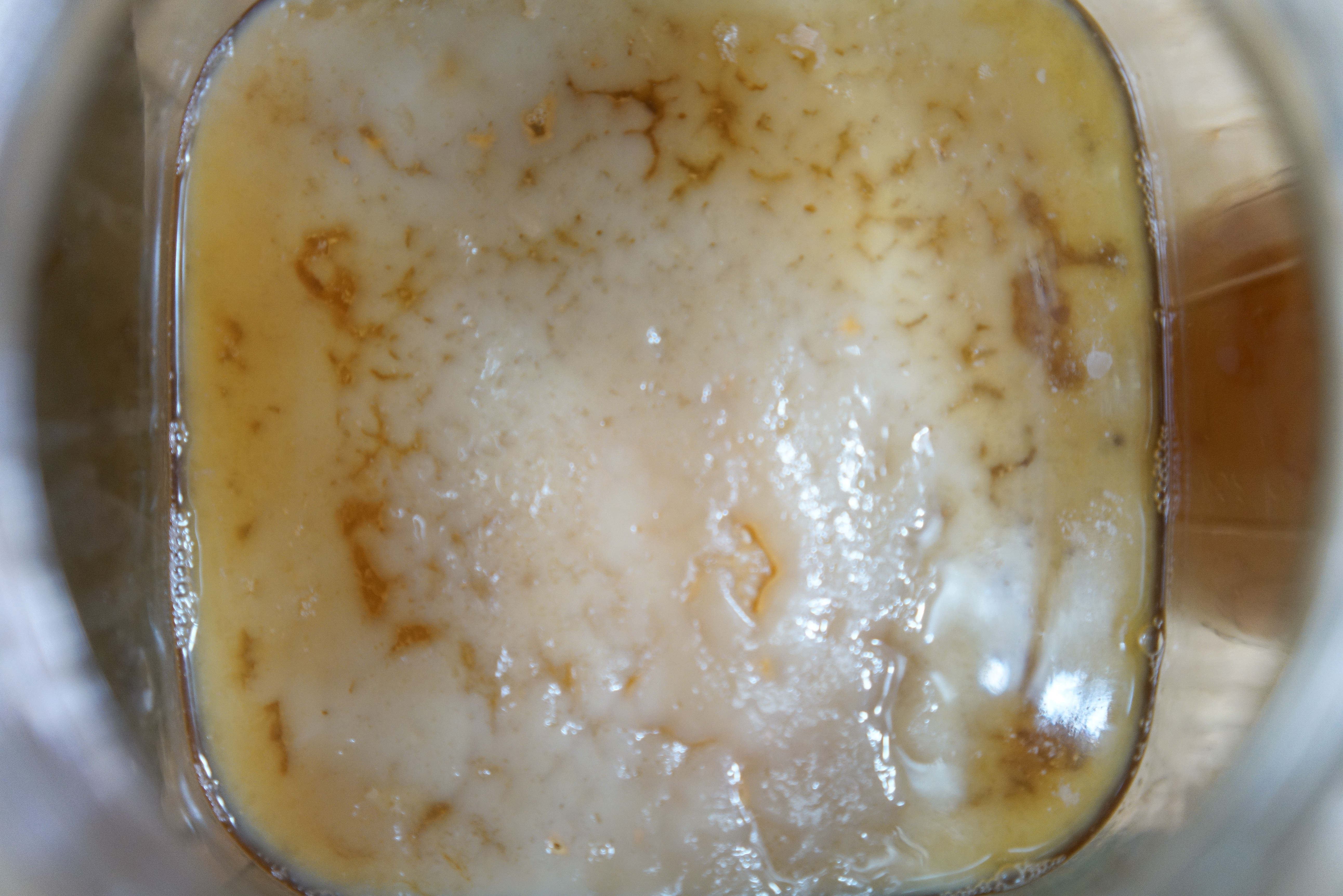 kombucha-03222.jpg