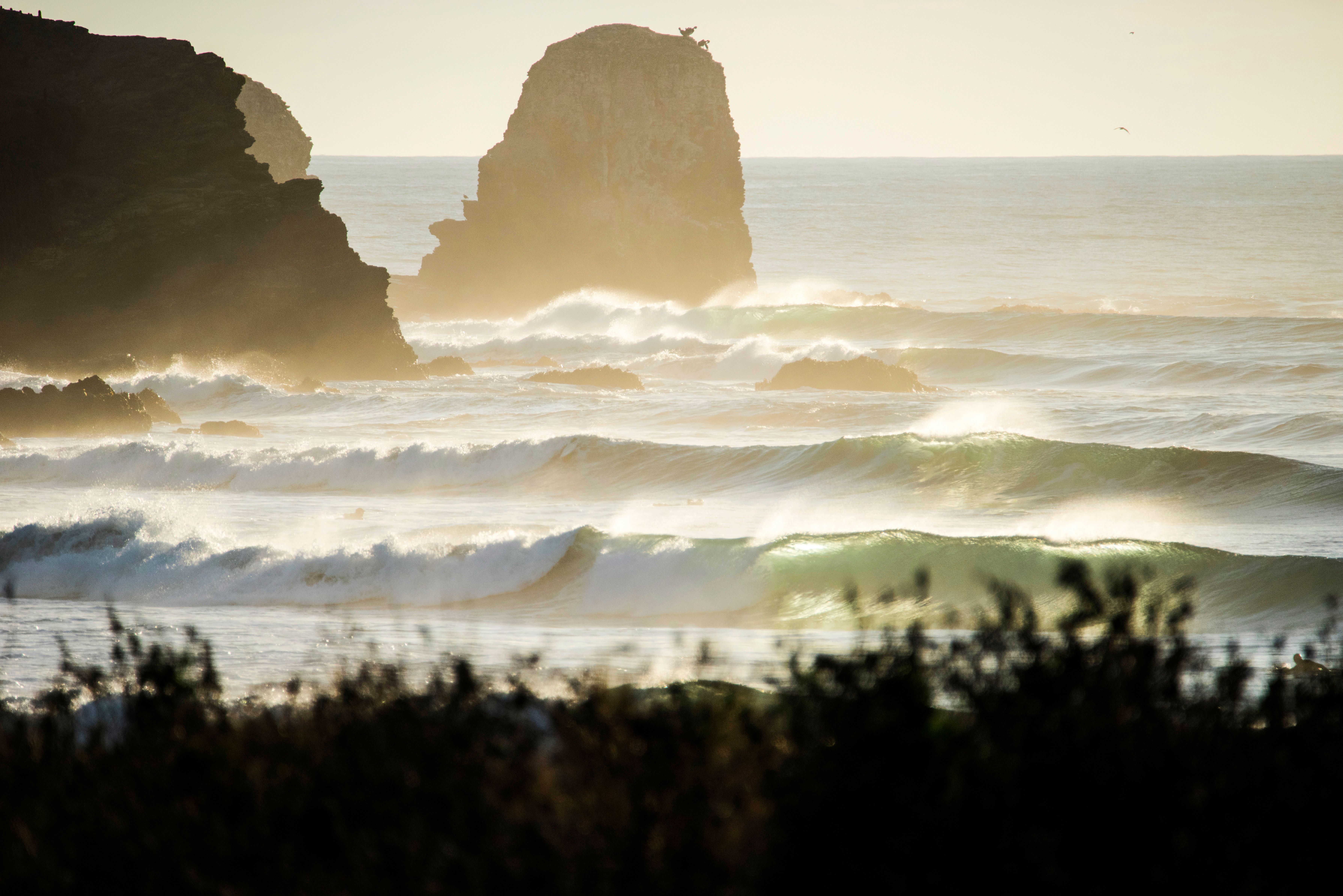 First view of Punta De Lobos.jpg