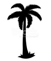 45926828-tropical-coconut-palm-tree.jpg