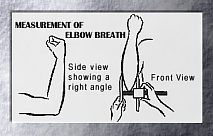 How to Measure Elbow Breadth: 11 Steps (with Pictures) - wikiHow