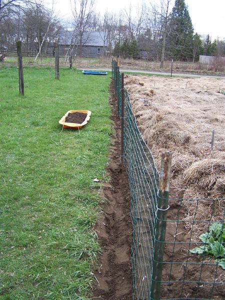 Big garden - fence in ground crop April 2018.jpg