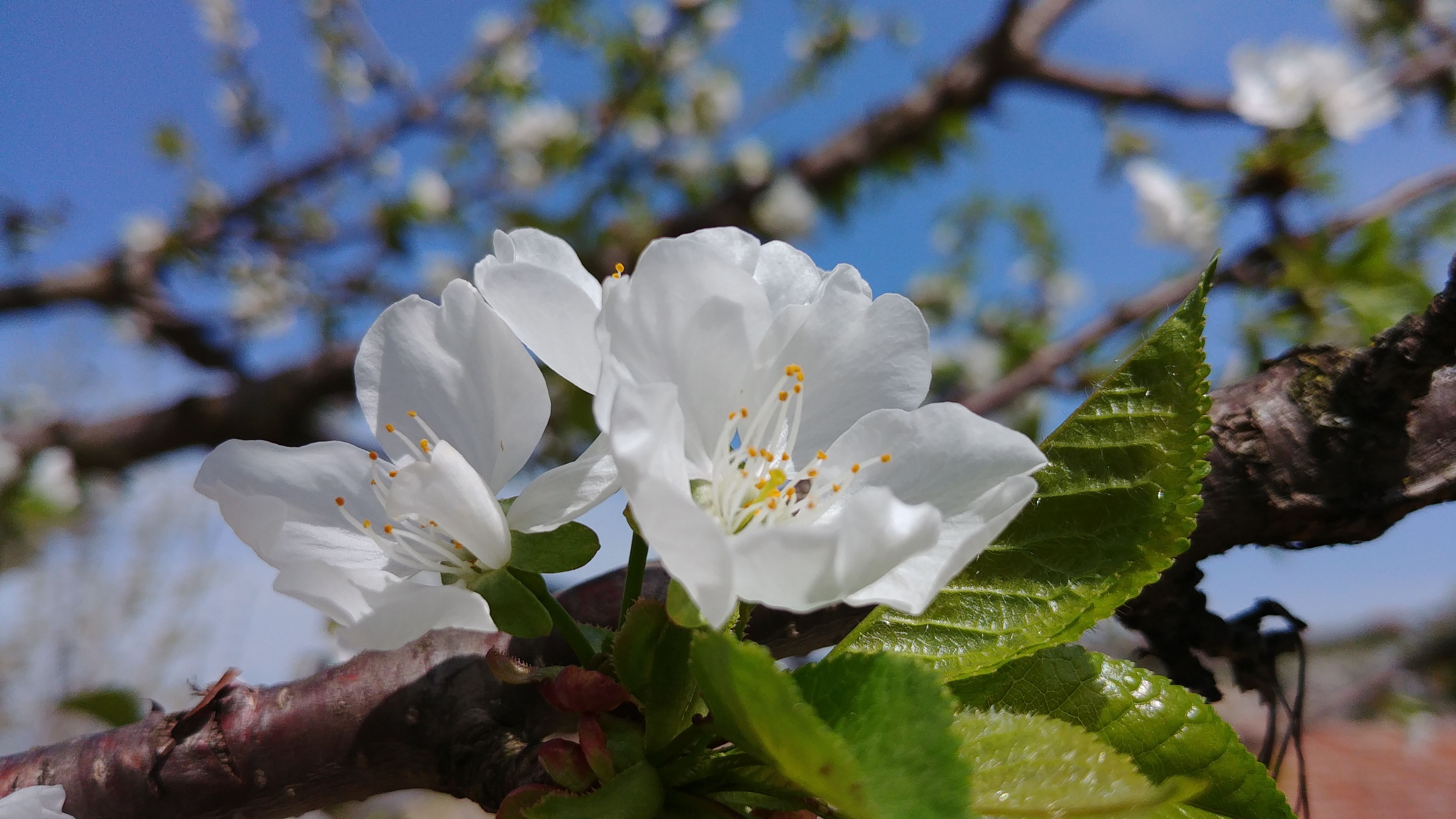 20180411_125628.jpg