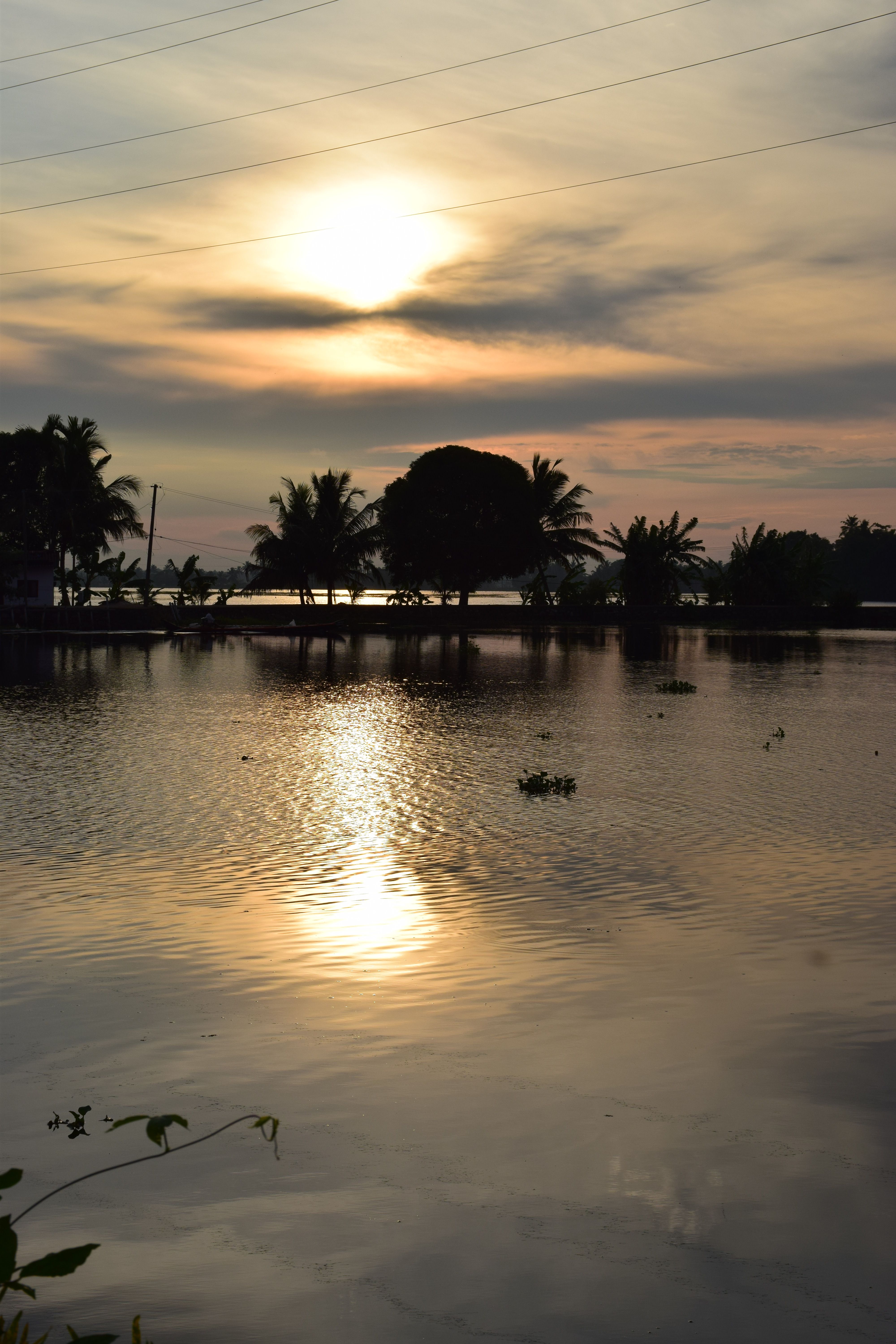 DSC_1089.JPG