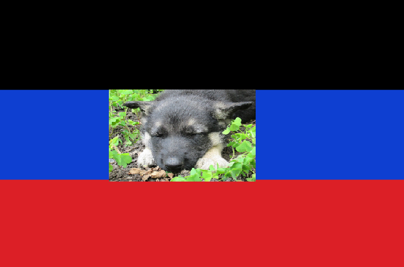 Flag_of_Donetsk_Republic tshura7.png