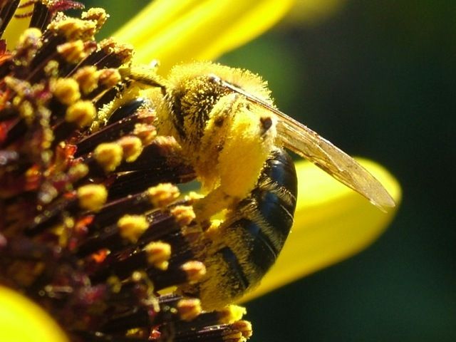 Image 2.jpg