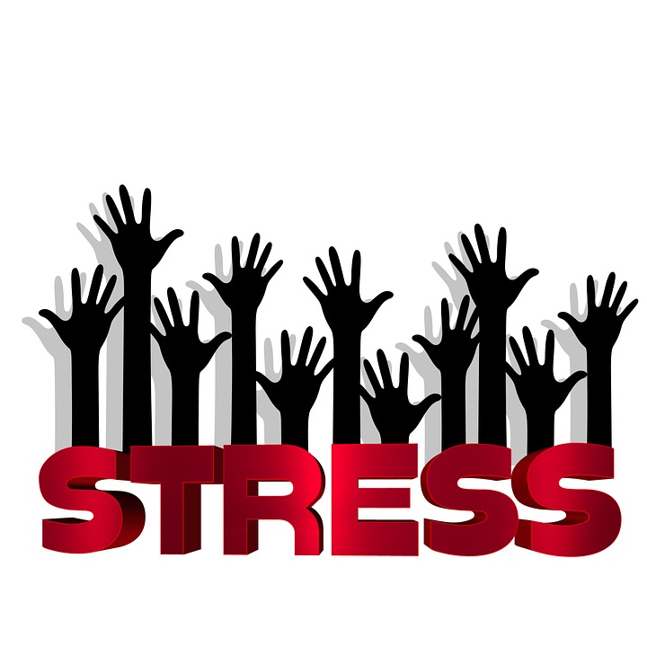 Quiz 2 Solution of Basic Stress Management and Relaxation  HCR 107   Quizzes Health sciences  Docsity