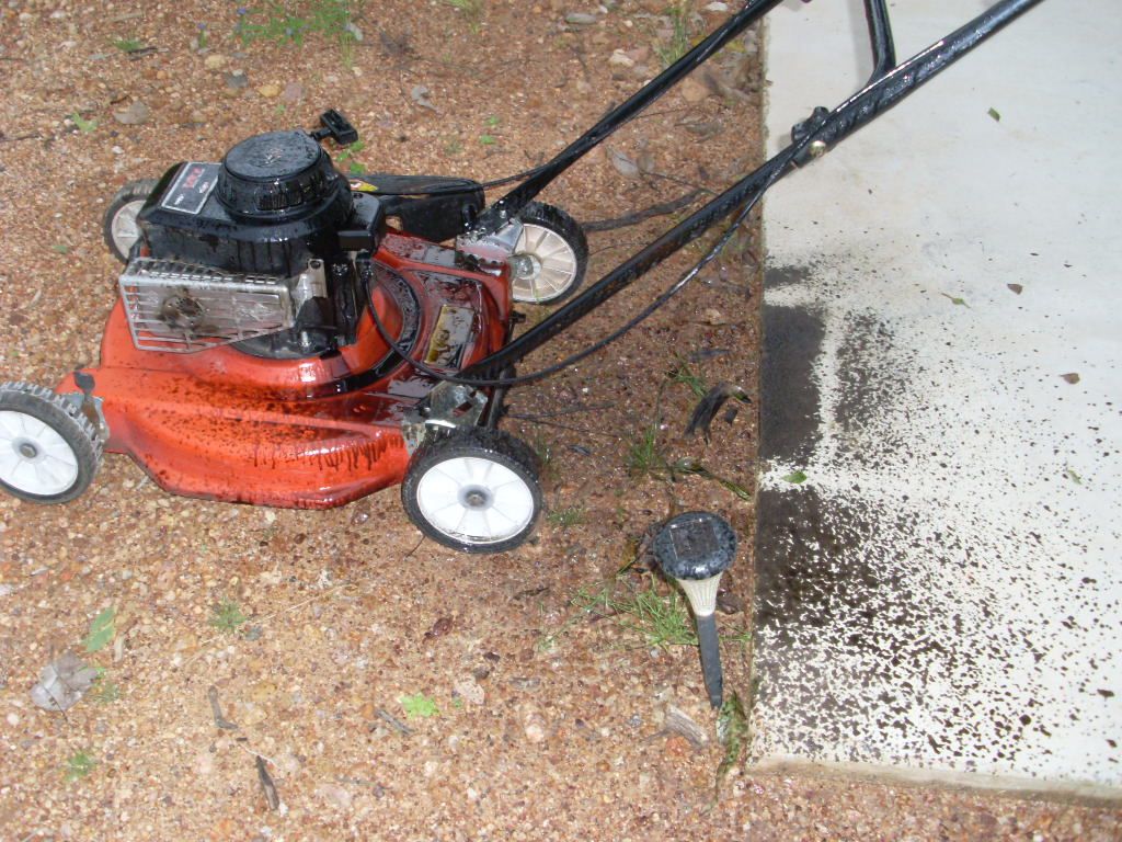 Mower 2.JPG