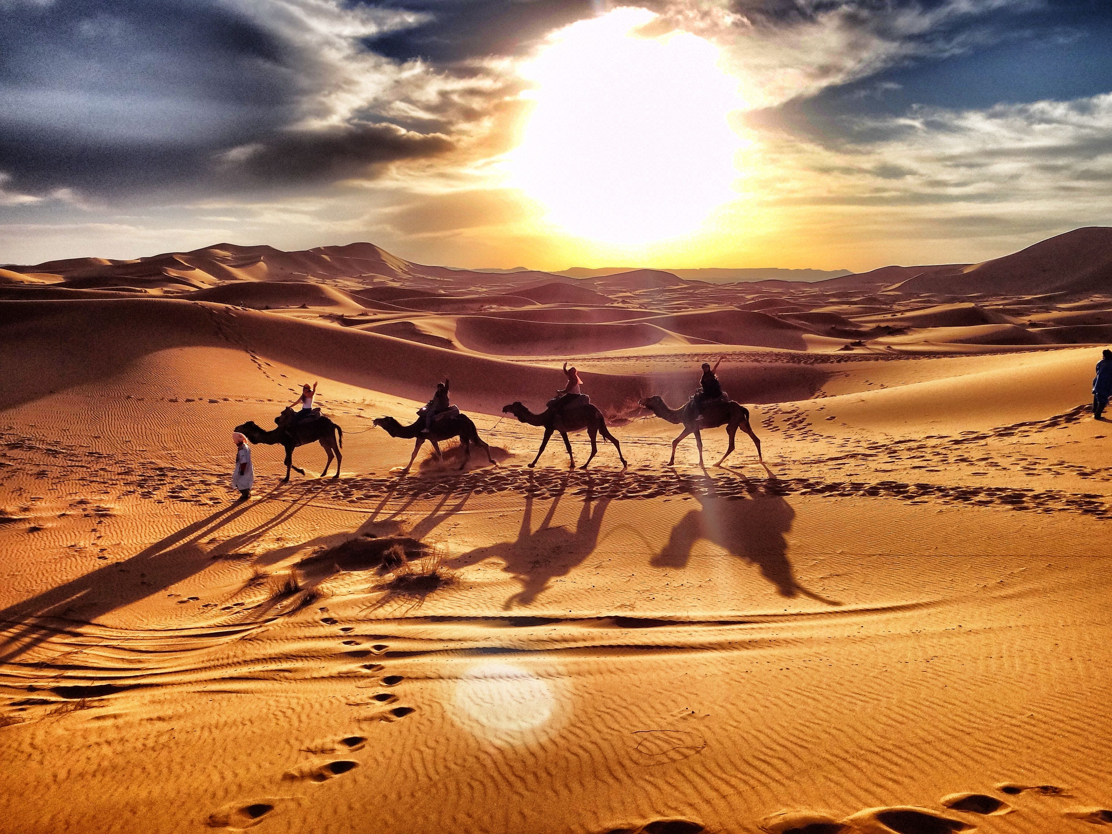 Караван солнца. Merzouga Марокко. Марокко.сахара.Мерзуга.. Марокко пустыня сахара. Караван марокканских верблюдов дромедаров.