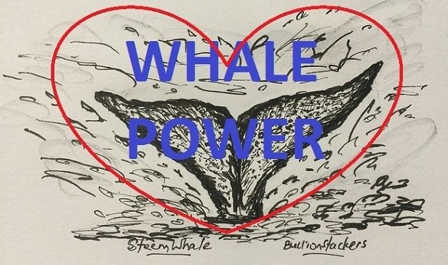 whalepower.jpg