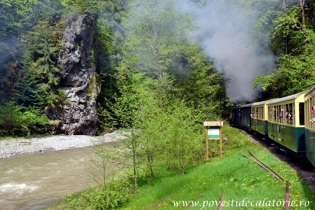 Maramures-Scorilo-811.jpg