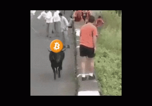 bitcoin (8).gif
