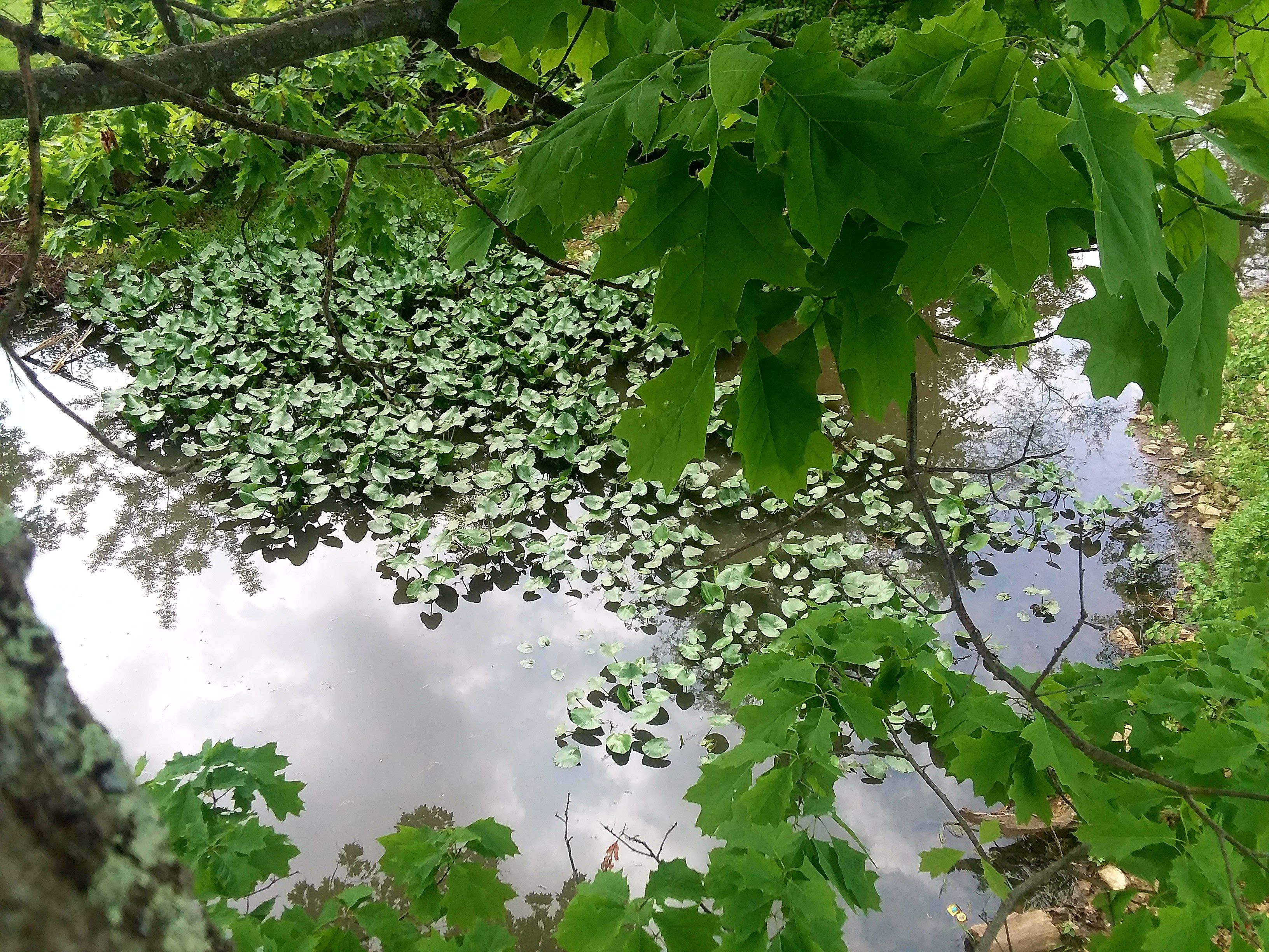 20180515_151736.jpg