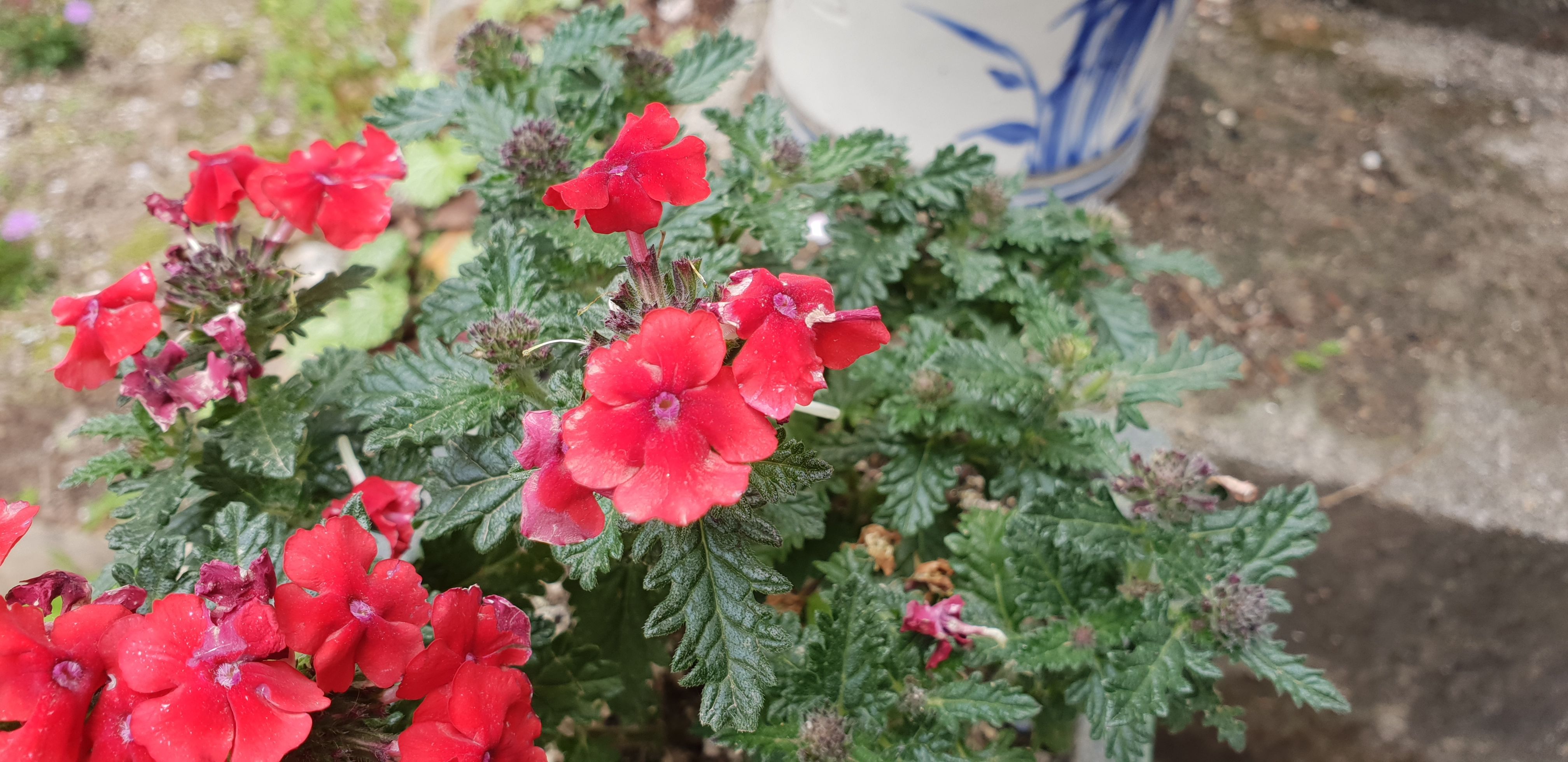 20180413_132833.jpg