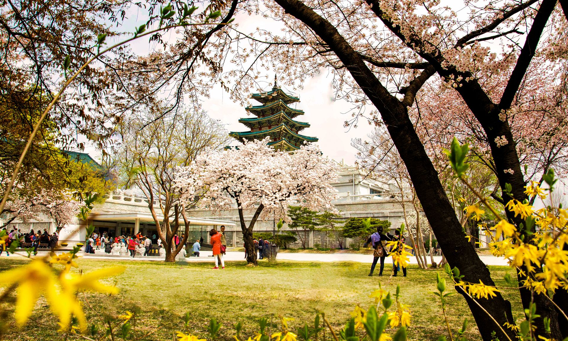 Gyeongbokgung-Palace.jpg