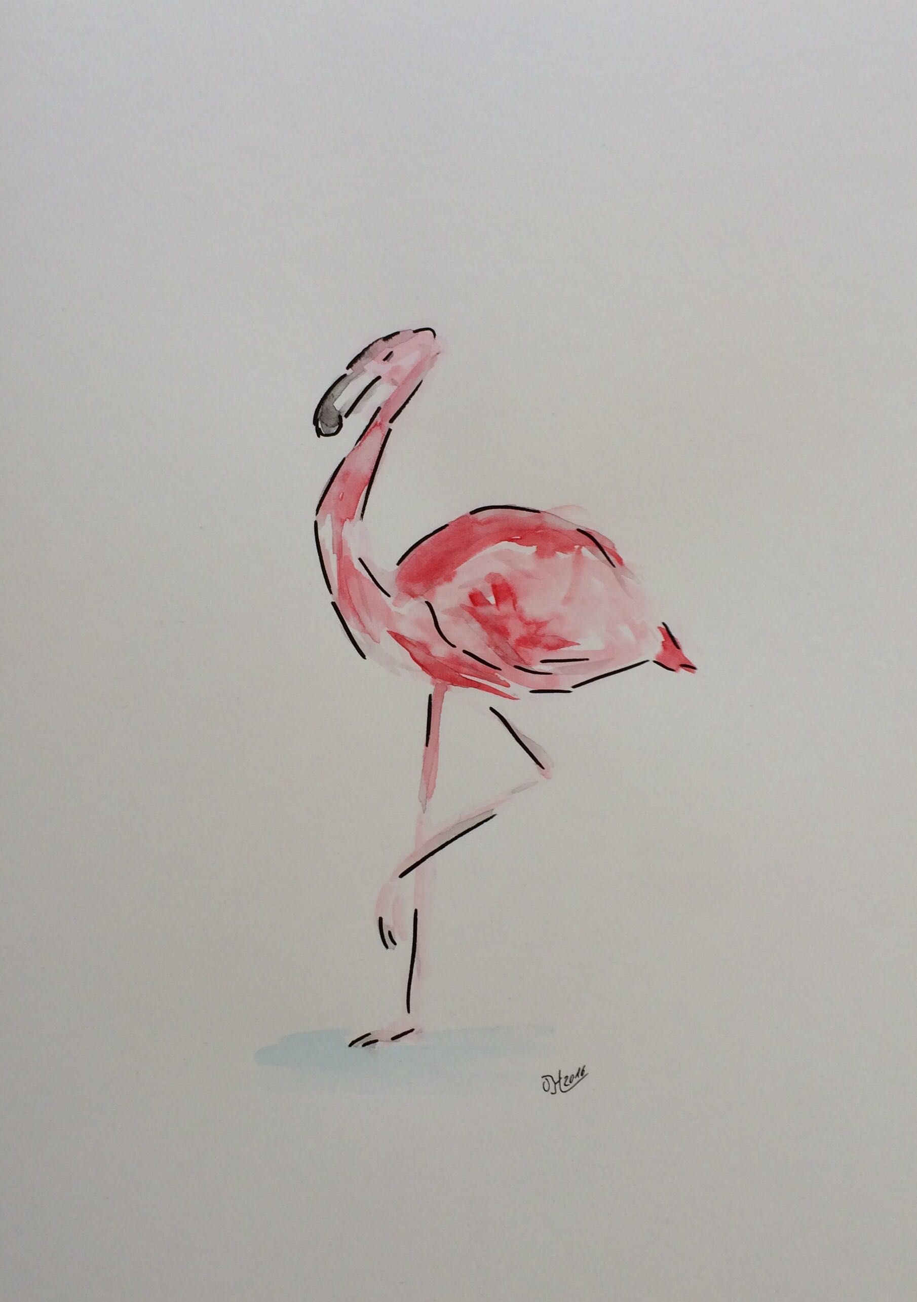 Flamingo.jpg