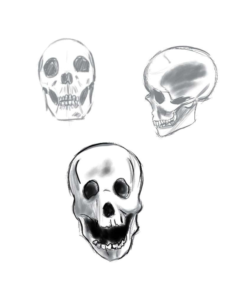 skulls.jpeg