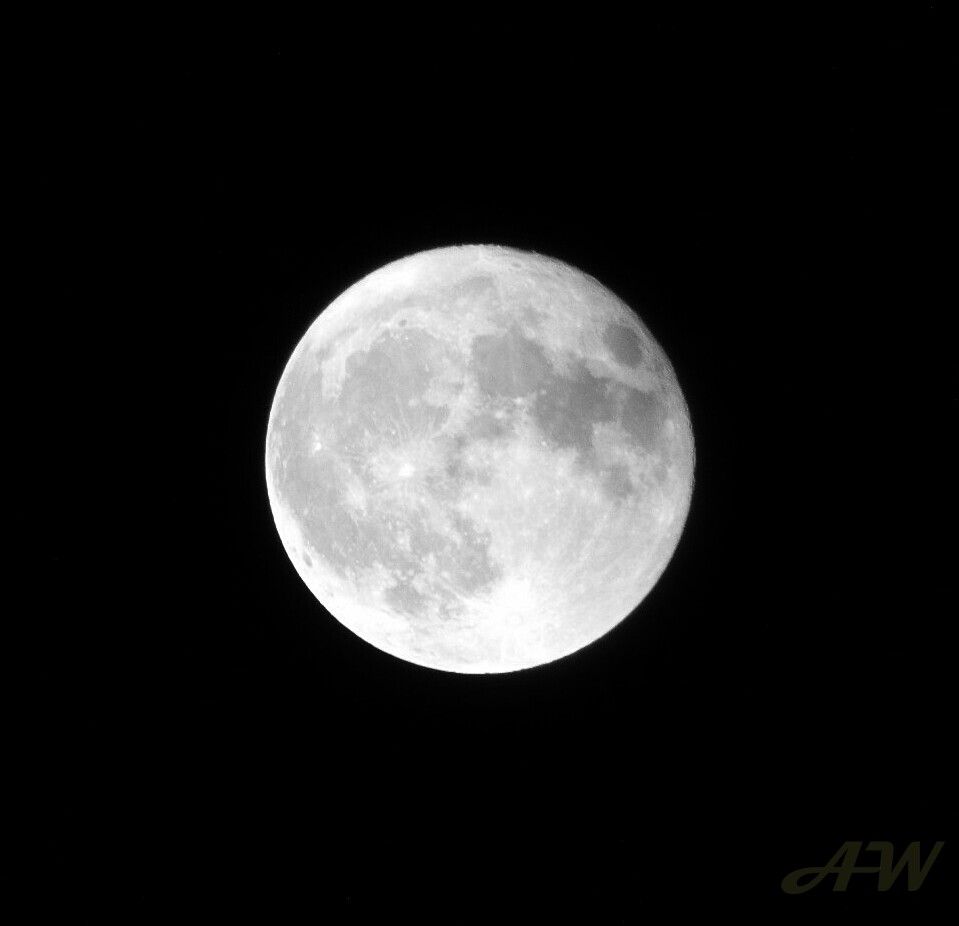 mega moon in nyc by antonio westley.jpg