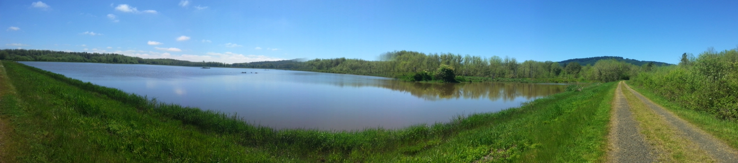 Cabell_Marsh_robyneggs_panorama.jpg