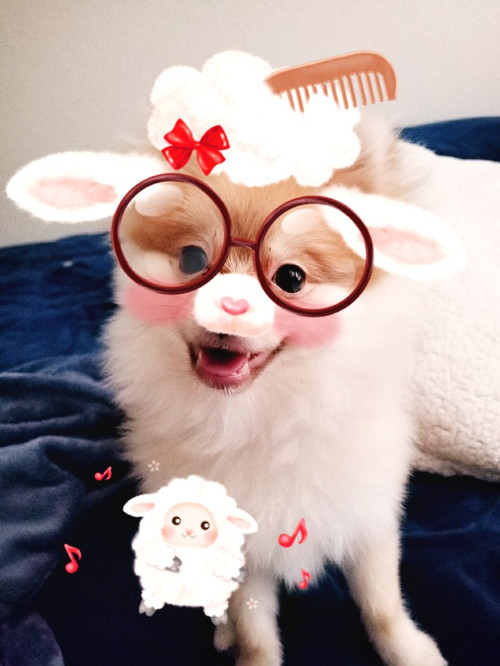 KakaoTalk_20180216_085206853.jpg