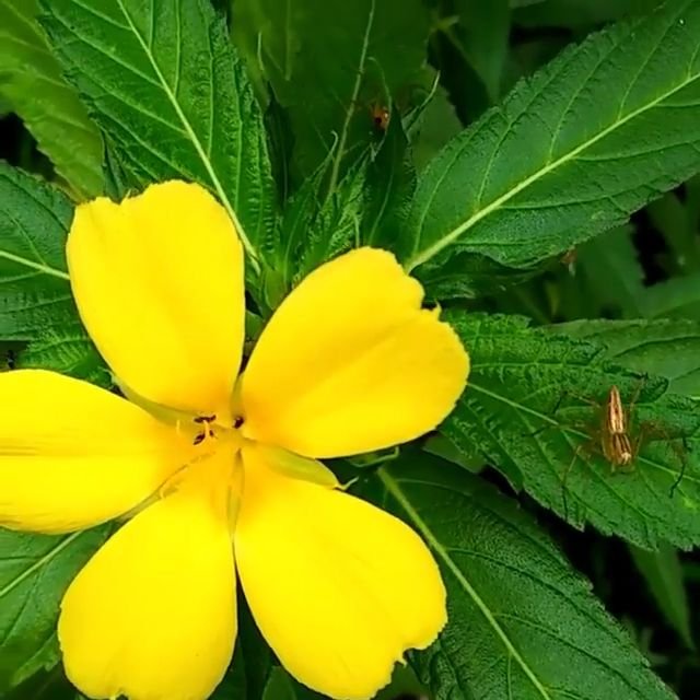 VideoCapture_20190810-104534.jpg