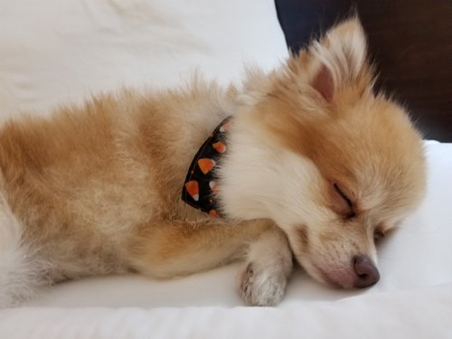 KakaoTalk_20181020_070857881.jpg
