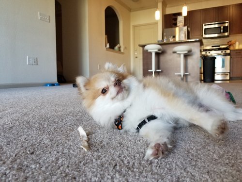KakaoTalk_20181013_144035267.jpg