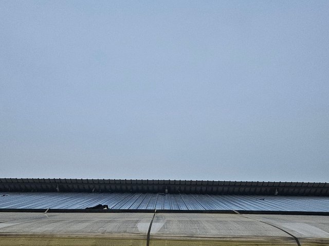 KakaoTalk_20250123_225441975.jpg