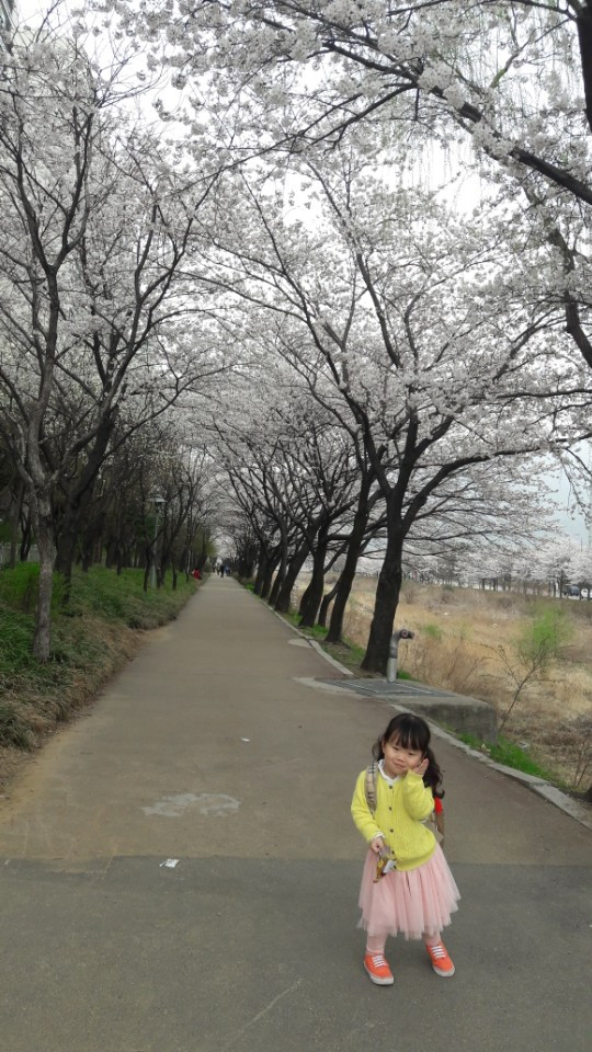 KakaoTalk_20180403_160508525.jpg
