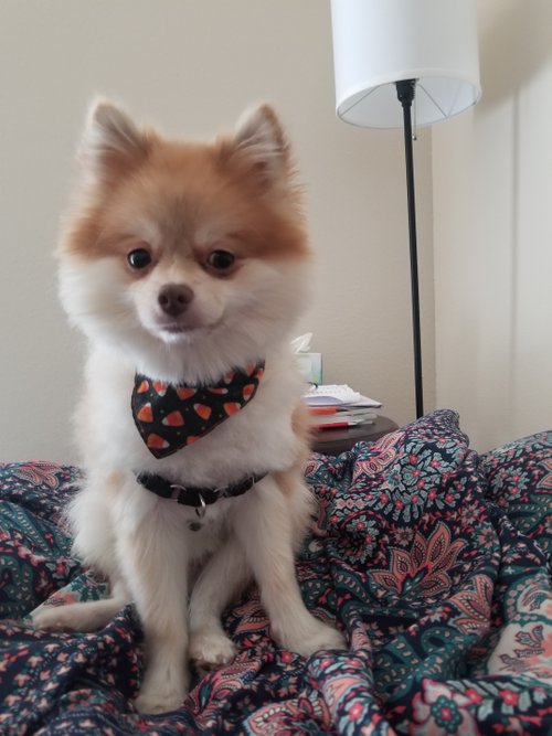KakaoTalk_20181015_183804947.jpg
