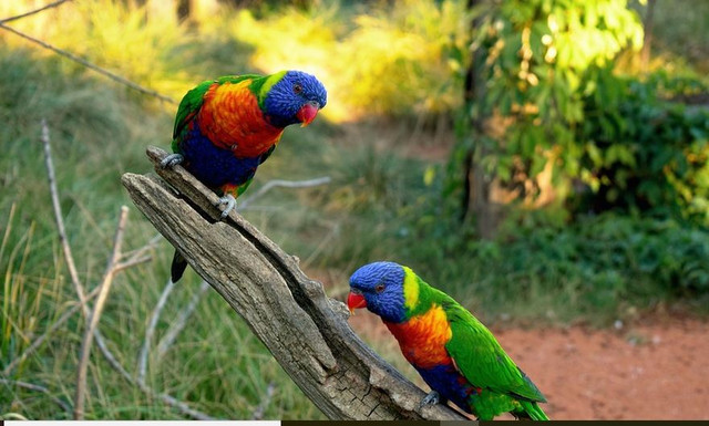 @lakmal91,,jpeg file.JPG