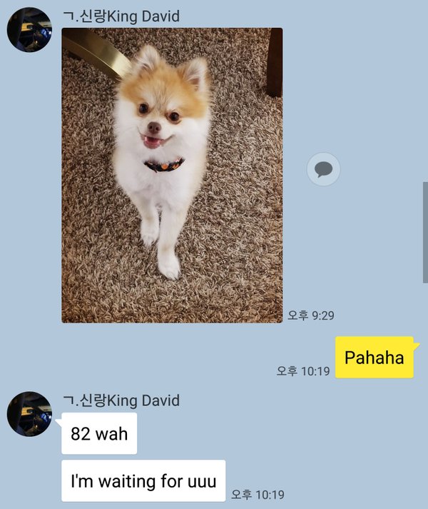 KakaoTalk_20180527_140341663.jpg