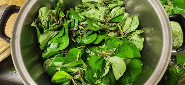 KakaoTalk_20230815_093644943.jpg