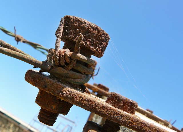 rust stuff spiderweb 2.jpg
