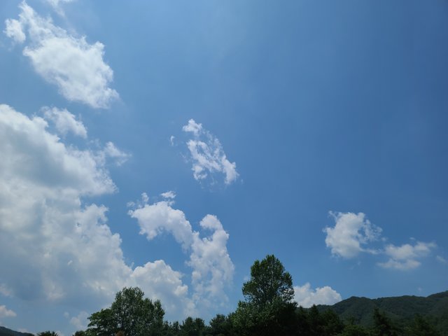 KakaoTalk_20210621_195601824.jpg