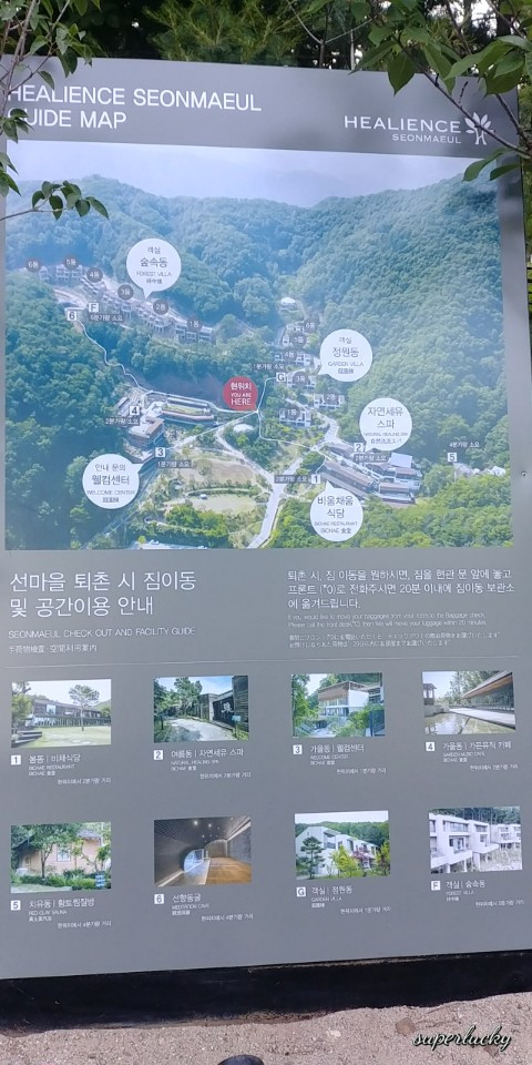 KakaoTalk_20180614_112134581.jpg
